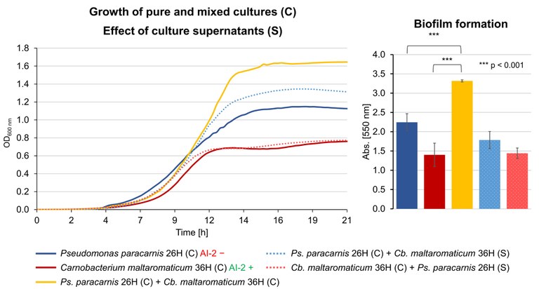 Growth and biofilm formation