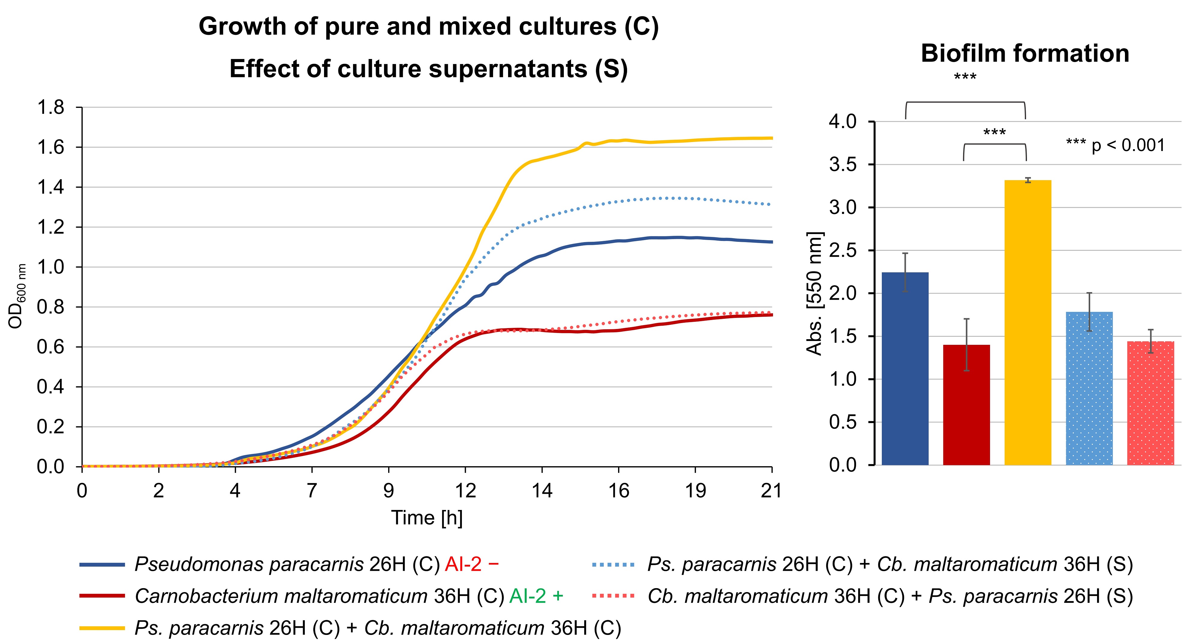 Growth and biofilm formation