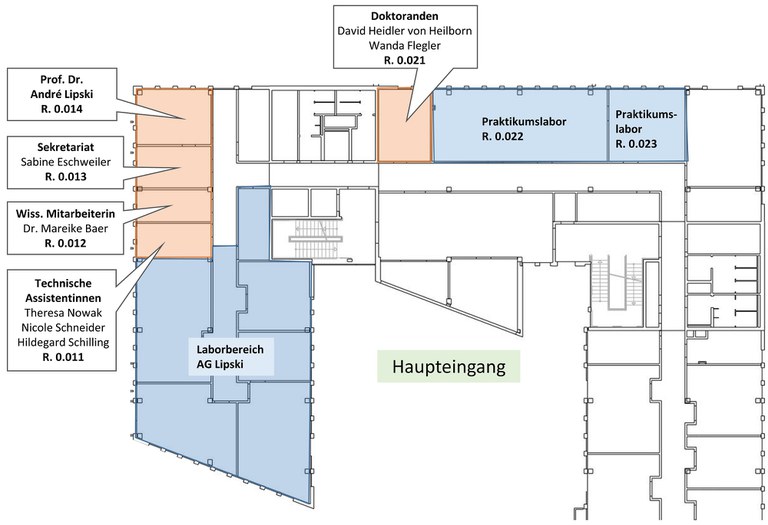 Grundriss EG Friedrich-Hirzebruch-Allee 7