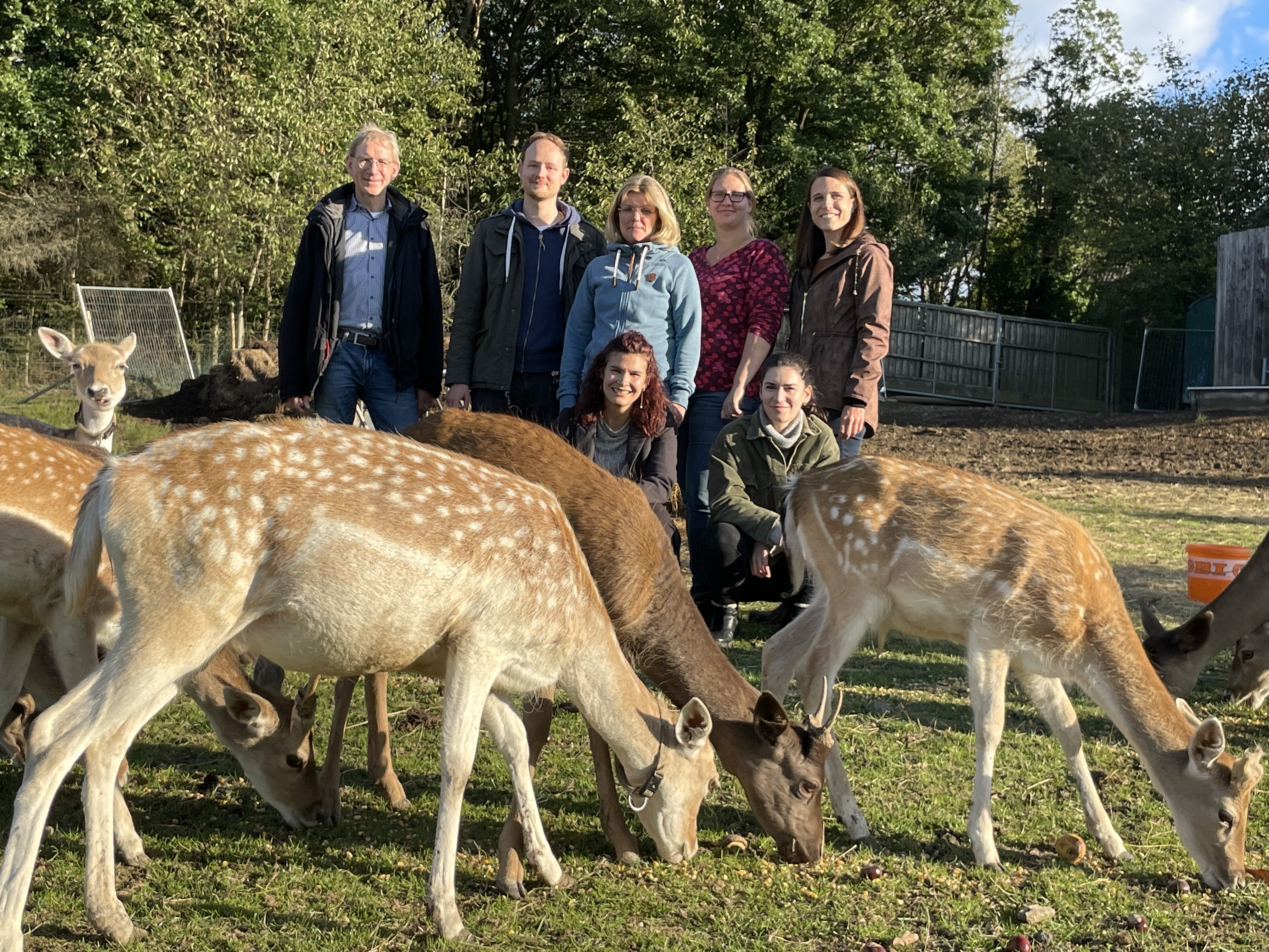 Abteilung LM-Mibi im Damwild-Paradies